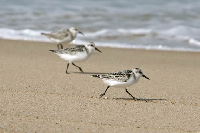 Jetties Beach, Nantucket