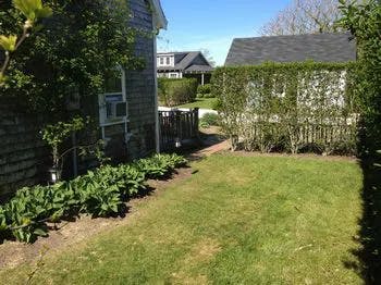 Backyard, Nature, Outdoors, Yard