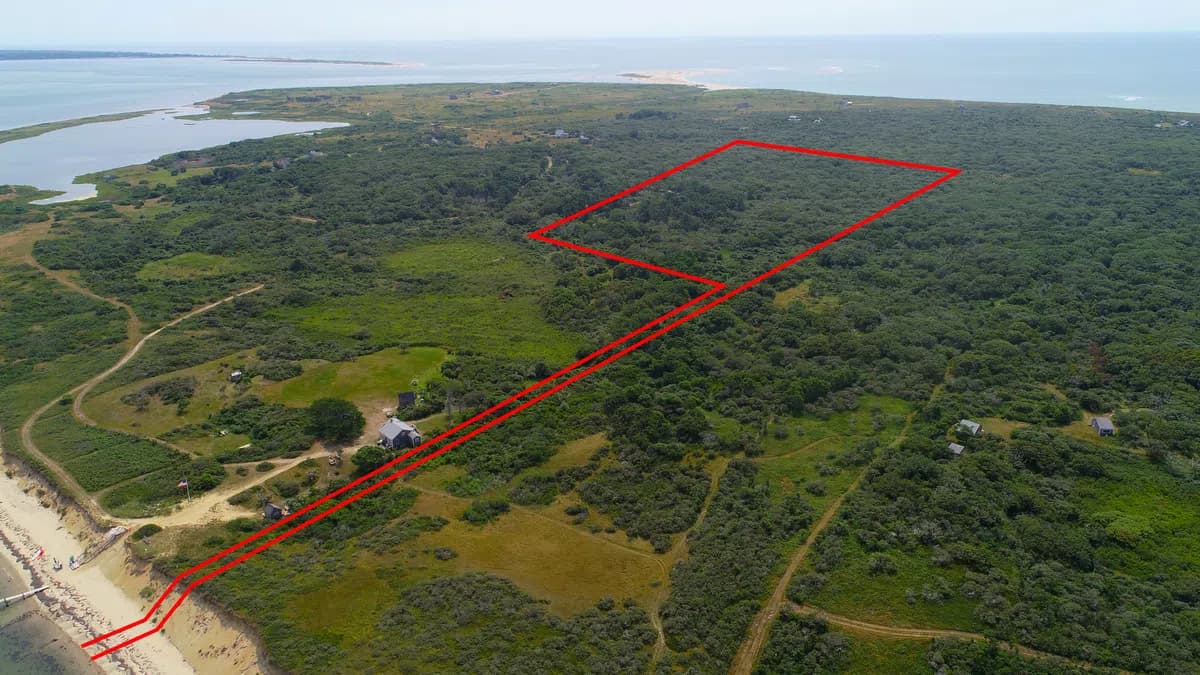 Woodland, Land, Nature, Outdoors, Plant, Tree, Vegetation